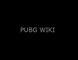 PUBG Wiki
