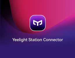 Yeelight Station Connector